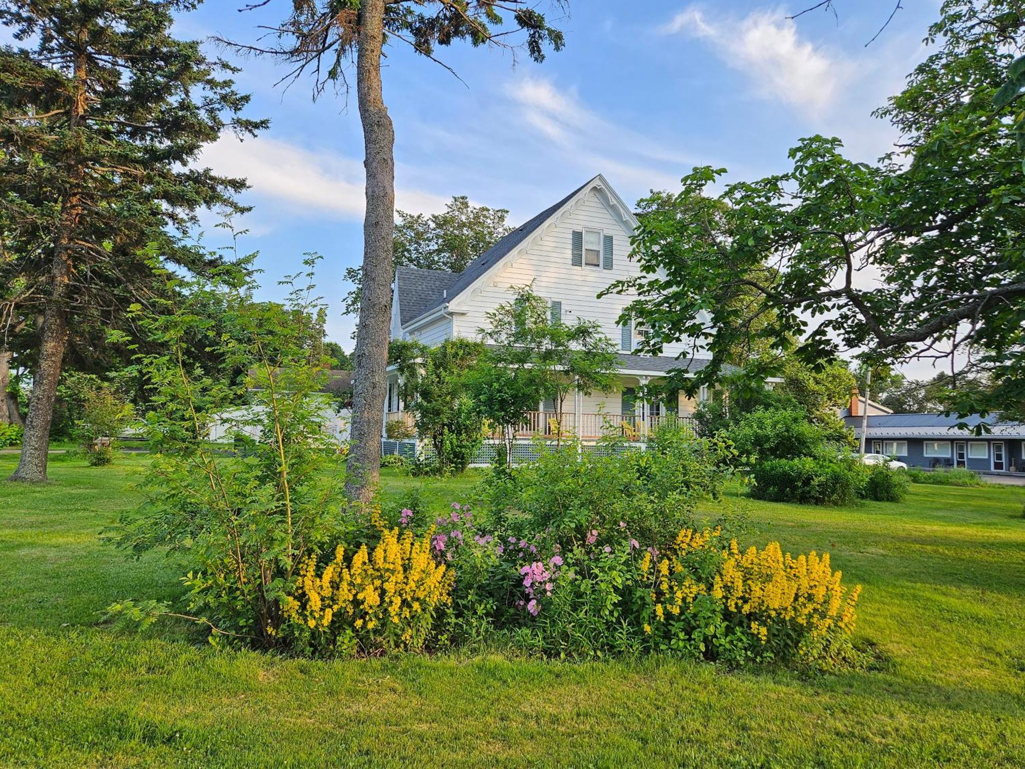 Sunflower Guest Suites Summerside Kültér fotó